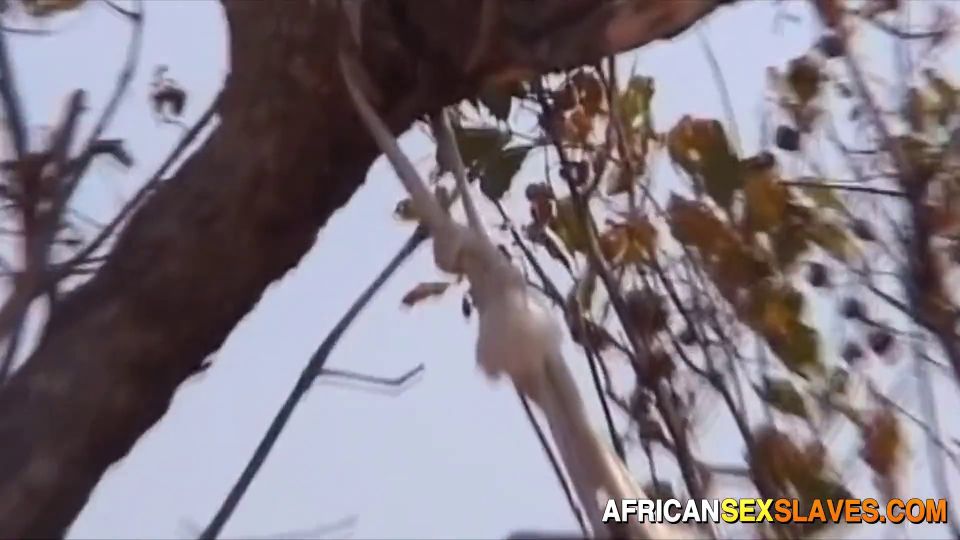 ty ebony whore gets caught stealing by big cock neighbor ...