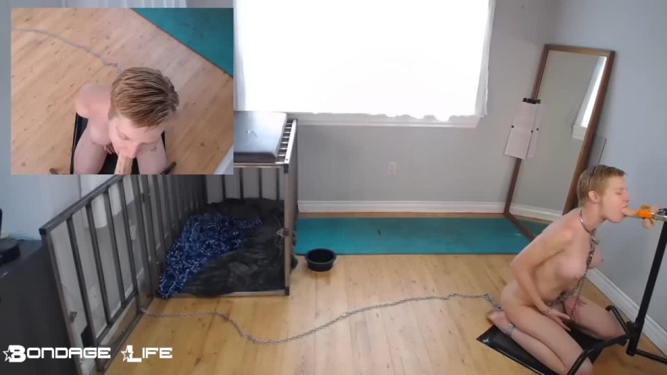 bondagelife - 2020.09.14 morning ritual13 on bdsm porn femdom bondage bdsm