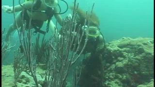 SexUnderwater e0017 Scuba Dears   Reef 3 (mp4)