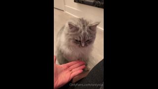 Isla D - onlyisla () Onlyisla - my cat has skills yo something sexy dropping for you guys tomorrow tonight you just get 23-08-2020