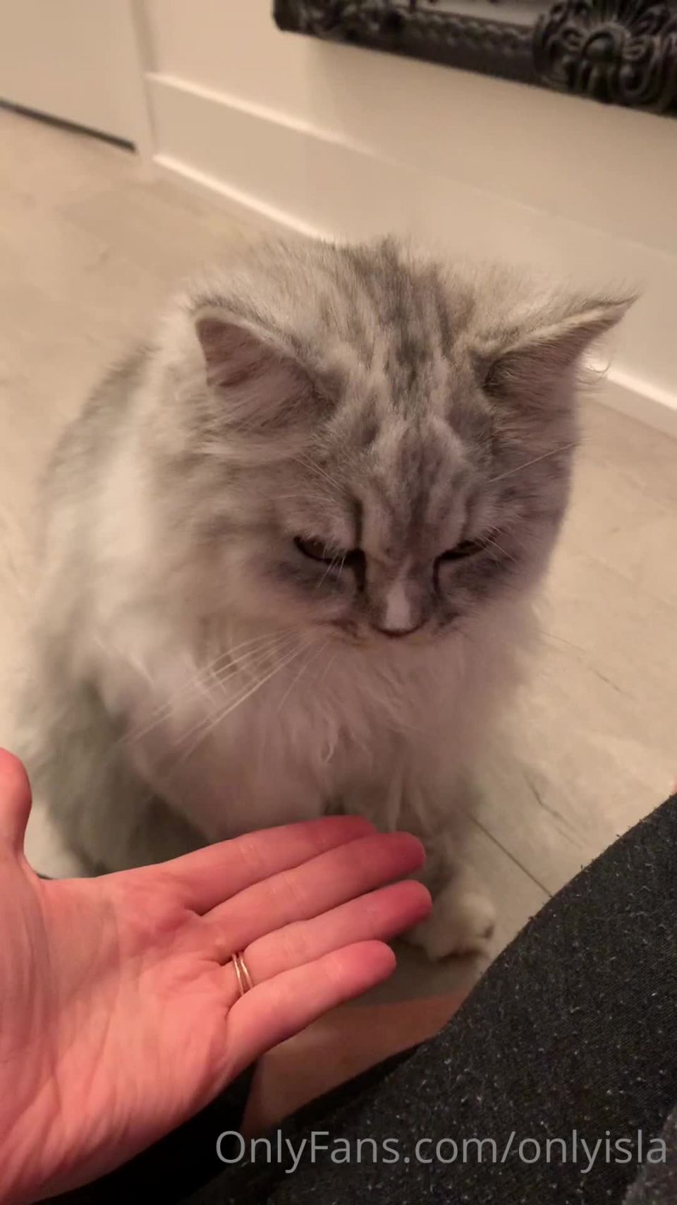 Isla D - onlyisla () Onlyisla - my cat has skills yo something sexy dropping for you guys tomorrow tonight you just get 23-08-2020