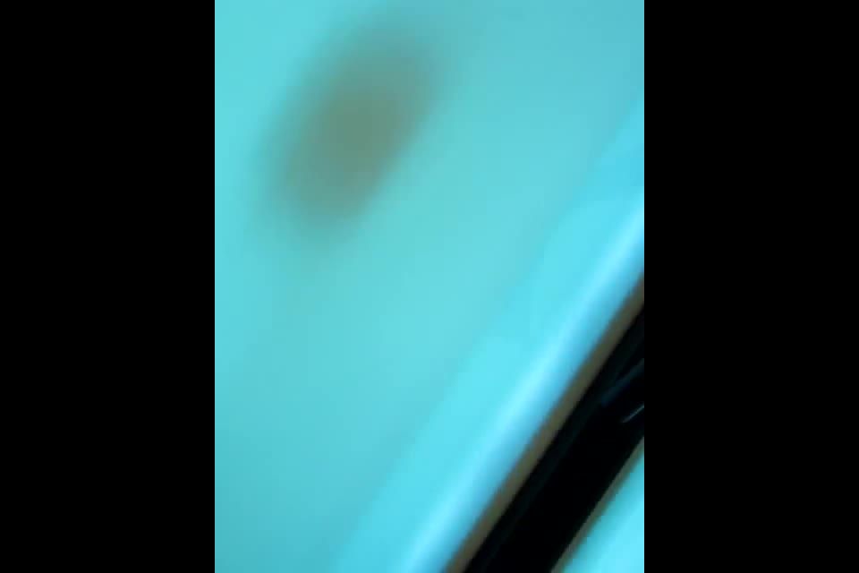 adult xxx video 7  Hidden 1491, hidden camera on webcam