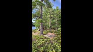 Carnes de animales de compañía () Fcfcsource