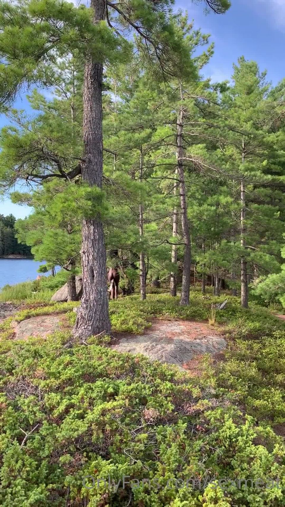 Carnes de animales de compañía () Fcfcsource