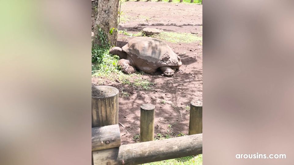 Betzz Dee Vine Candice Demellza y Simon Kitty BTS [09.29.24] [10...