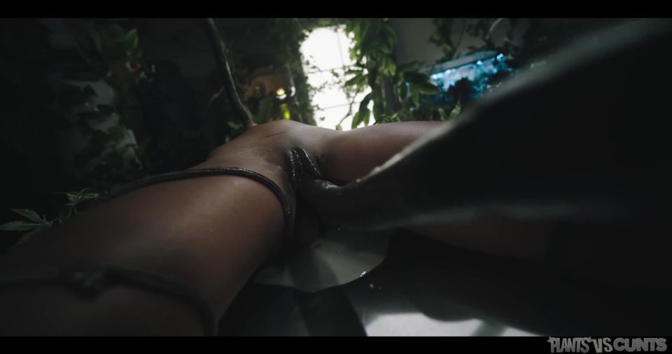 video 44 polish femdom fetish porn | Barbie Rous Plants Vs Cunts Vol 5 - [Plantsvscunts] (FullHD 1080p) | fetish