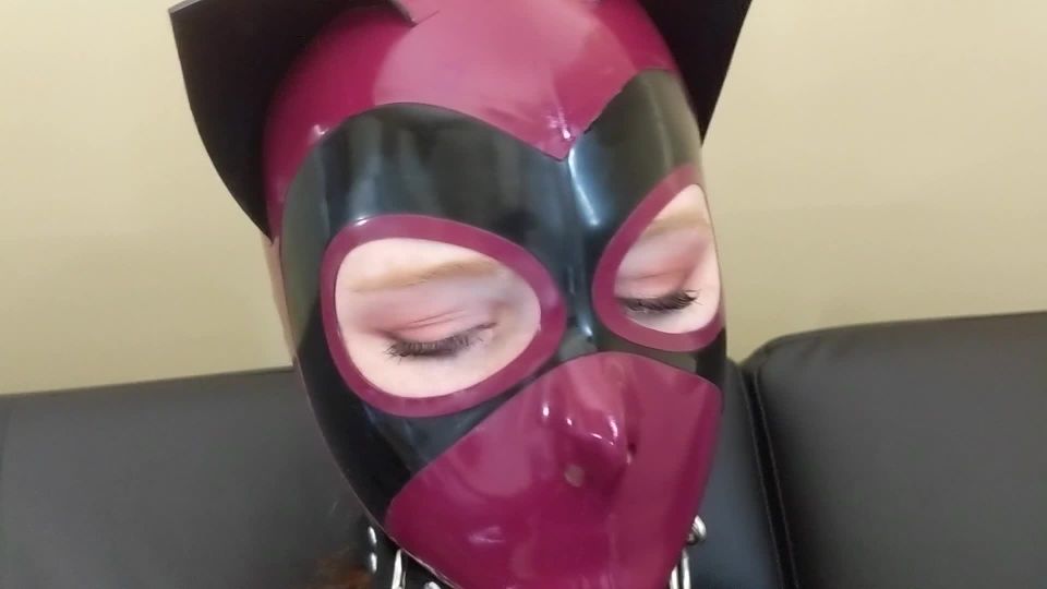 Mbot - mdollbot () Mdollbot - this clip didnt make it to the final video but those poor sweet kitty eyes needed to be 30-09-2020