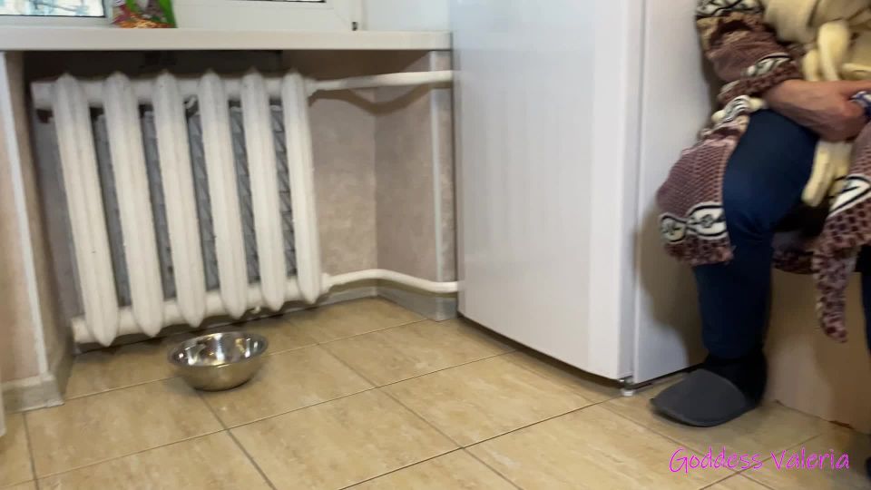 online xxx video 17 mi Diosa Valeria – Comer comida de mascota y tragar mi babeo, perra  dominación femdom porno leis femdom