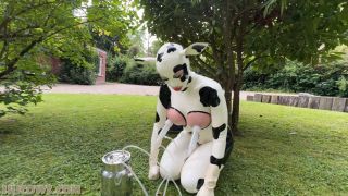 Anc1lla And Miss Fetilicious - Latex Hucows Outdoors - BDSM