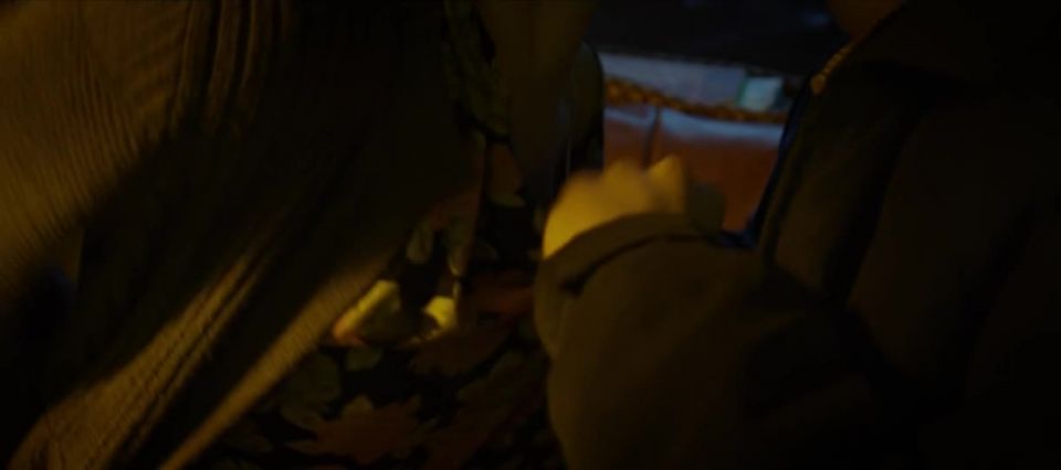 Paulina Galazka – Wspomnienie poprzedniego lata (2013) HD 720p - (Celebrity porn)