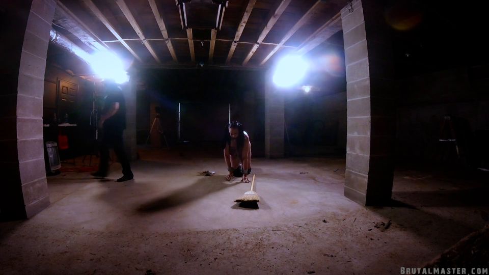 Filtro de vídeo como una perra en el trabajo 1080p FullHD