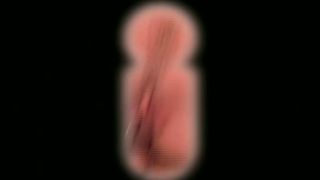 Residencia I Peccati di Mia Moglie.