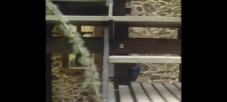 adult xxx clip 14 Sweetheart - fetish - vintage fart fetish pornhub