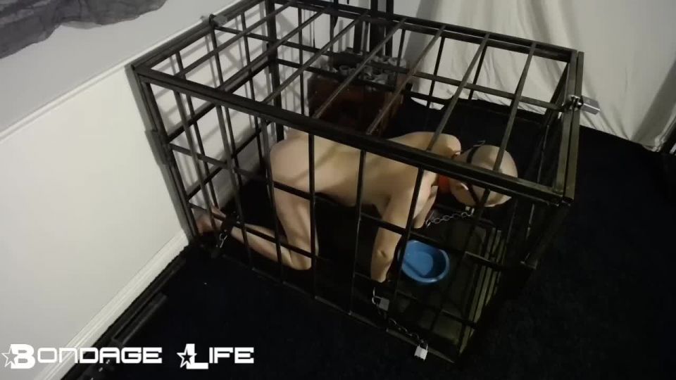 xxx clip 42 bdsm xxx video fetish porn | Bondage Life – Cage Time With Greyhound (Owner Edition) | bondage life