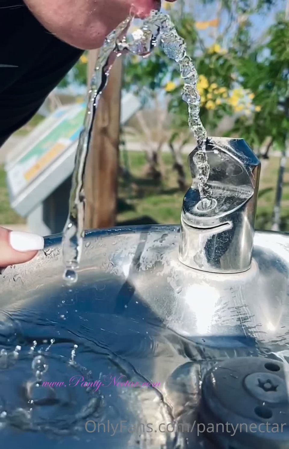 PantyNectar () Pantynectar - just got done from going on a walk with the hubby cant wait to show you guys what we d 03-02-2021