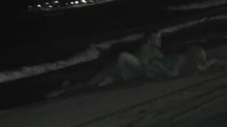  voyeur | Night Watching 123 | watch