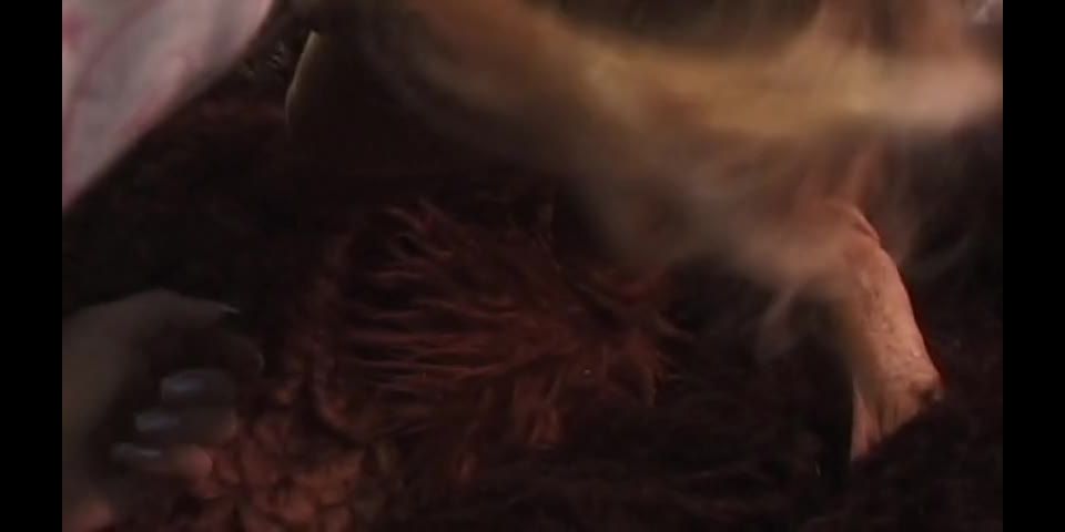 Twilight The Porno And Other XXX Parodies, film big sex bdsm on threesome  | ashley reeves | cumshot bdsm open, bdsm licking on cumshot  | lea de mae | cumshot bdsm video 3d