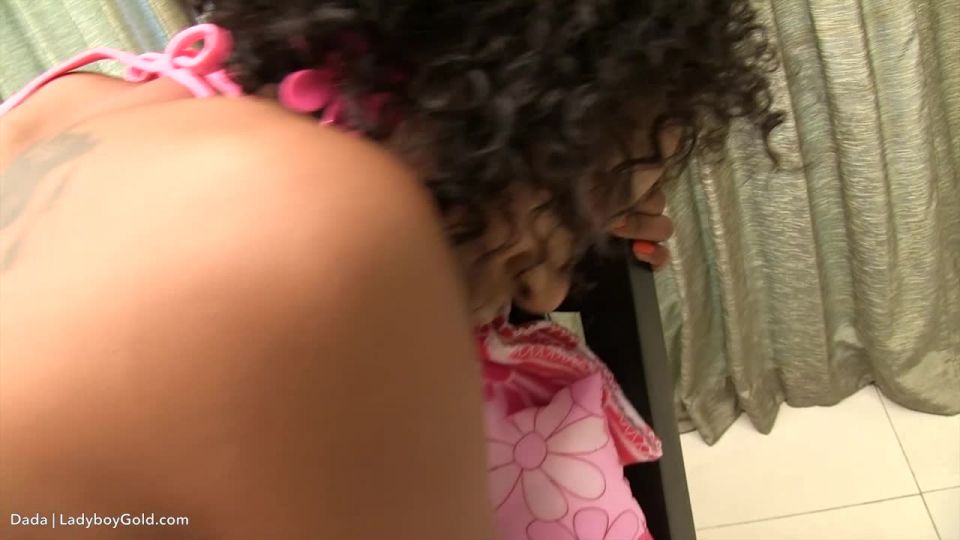 Dada - Tropical Tart Bareback Download New Porn Video Fas...