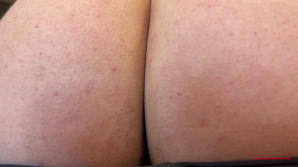 adult xxx video 6 Femdom Puppy Play - Capri Feeds Her Pup Scraps and Sweat - FullHD 1080p | femdom pov | femdom porn femdom dentist