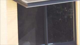 alquiler de vacaciones ventana-peeper