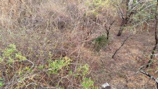 Onlyfans - Angel Emily - angelemilyxxxx - angelemilyxxxxPetit douche en pleine sabane Viens me reuneddre pour faire des btises Ven a jo - 31-10-2019