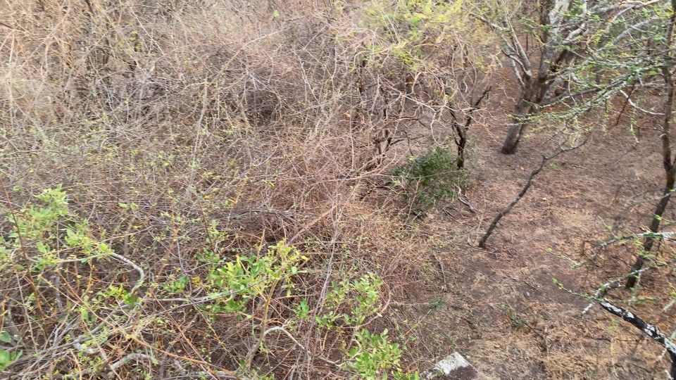 Onlyfans - Angel Emily - angelemilyxxxx - angelemilyxxxxPetit douche en pleine sabane Viens me reuneddre pour faire des btises Ven a jo - 31-10-2019