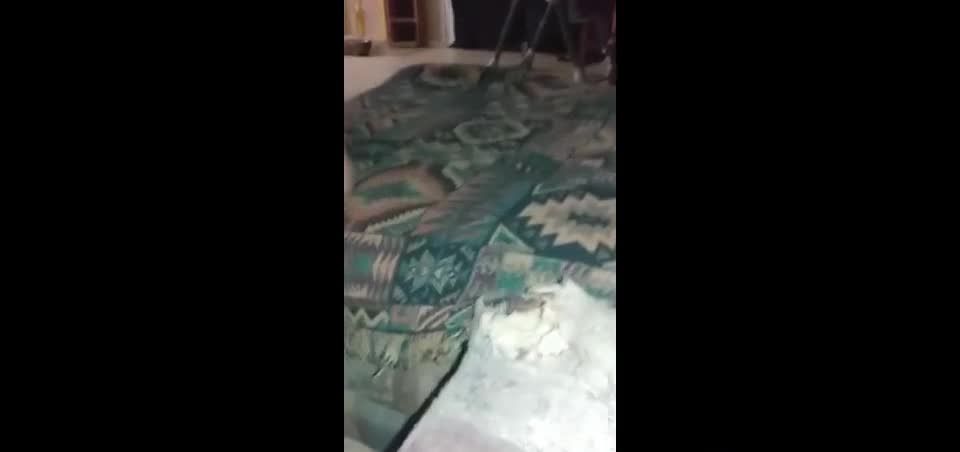 Porno tubo Sexo Aventuras en el piso con mi preciosa novia!