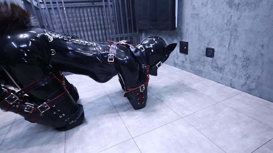 Fantia jp DDD04004120 (Human Dog Water) ヒトイヌ水１