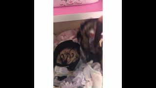 video 15  - voyeur - voyeur