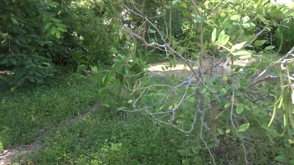 [ATKGirlfriends] Lily Adams Arboretum POV Sex [08.13.21] [1080p]