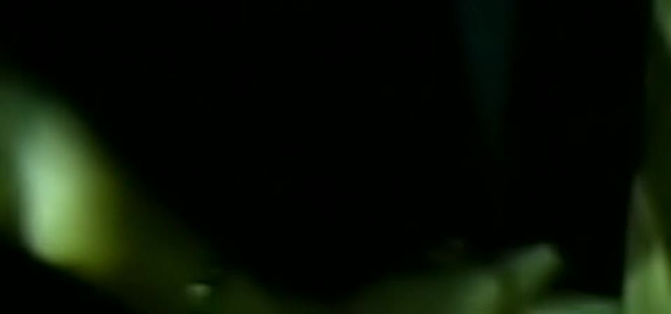 adult xxx video 17 free adult clip 43 Dance Party | brunette | lesbian girls porno big tits ass anal | lesbian | latina girls porn big ass solo pussy