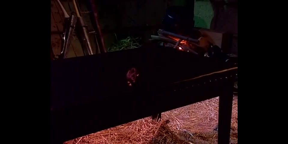 tetas porno bdsm gay pies bdsm Carne Para Fantasy - bdsm - bdsm porno bbw bdsm xxx, al aire libre en trío  mff  bdsm porno gran culo bdsm anal, bdsm lamiendo en bdsm porno, bdsm en trío