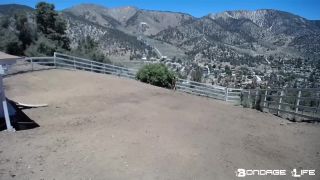 Yard Maintenance (Dirt Edition) - 12.21.20 Quick View Por...