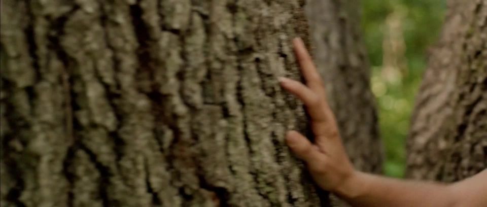 Lauren Ashley Carter - Rostro de Jug (2013) HD 1080p - (Celebrity porn)