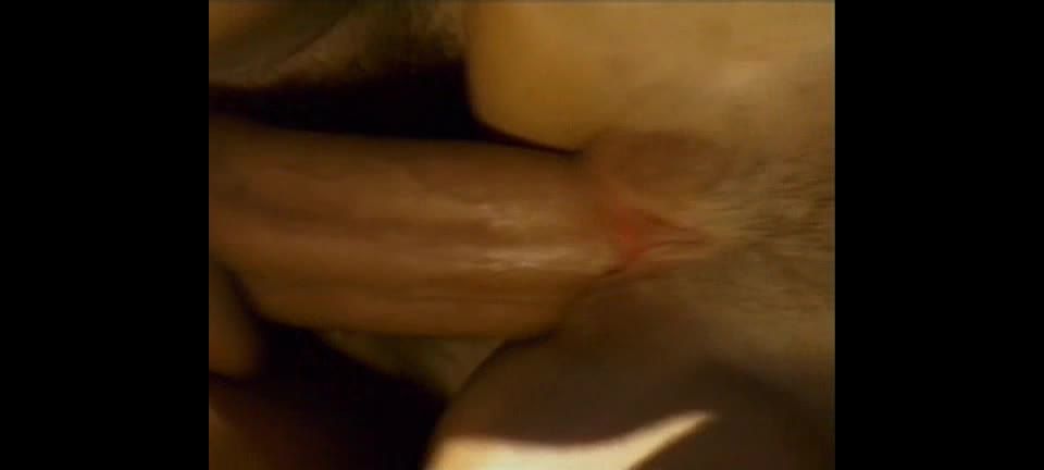 Bambie Dolce – (Hustler Platinum) – Serpiente Brasileña