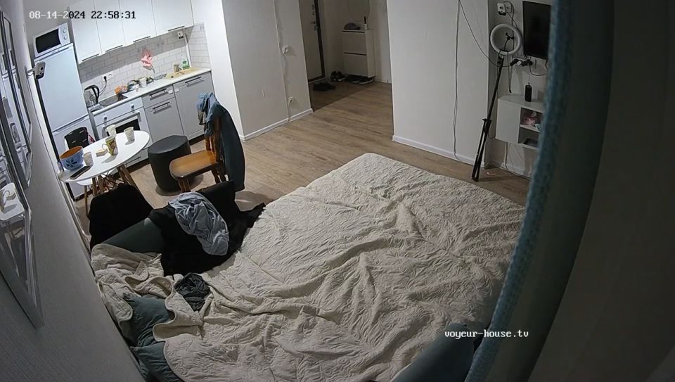 Fennec Amigos Parte Inicio en el salón, 14 08 2024 Cam 2 2 720P - Voyeur