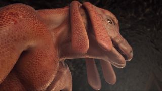 7727 Darumasuka No Yoru - Darumasuka No Yoru