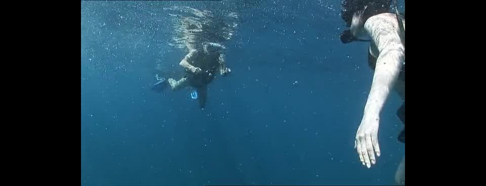 Madagascar, Scene 3 - Nov 24, 2009