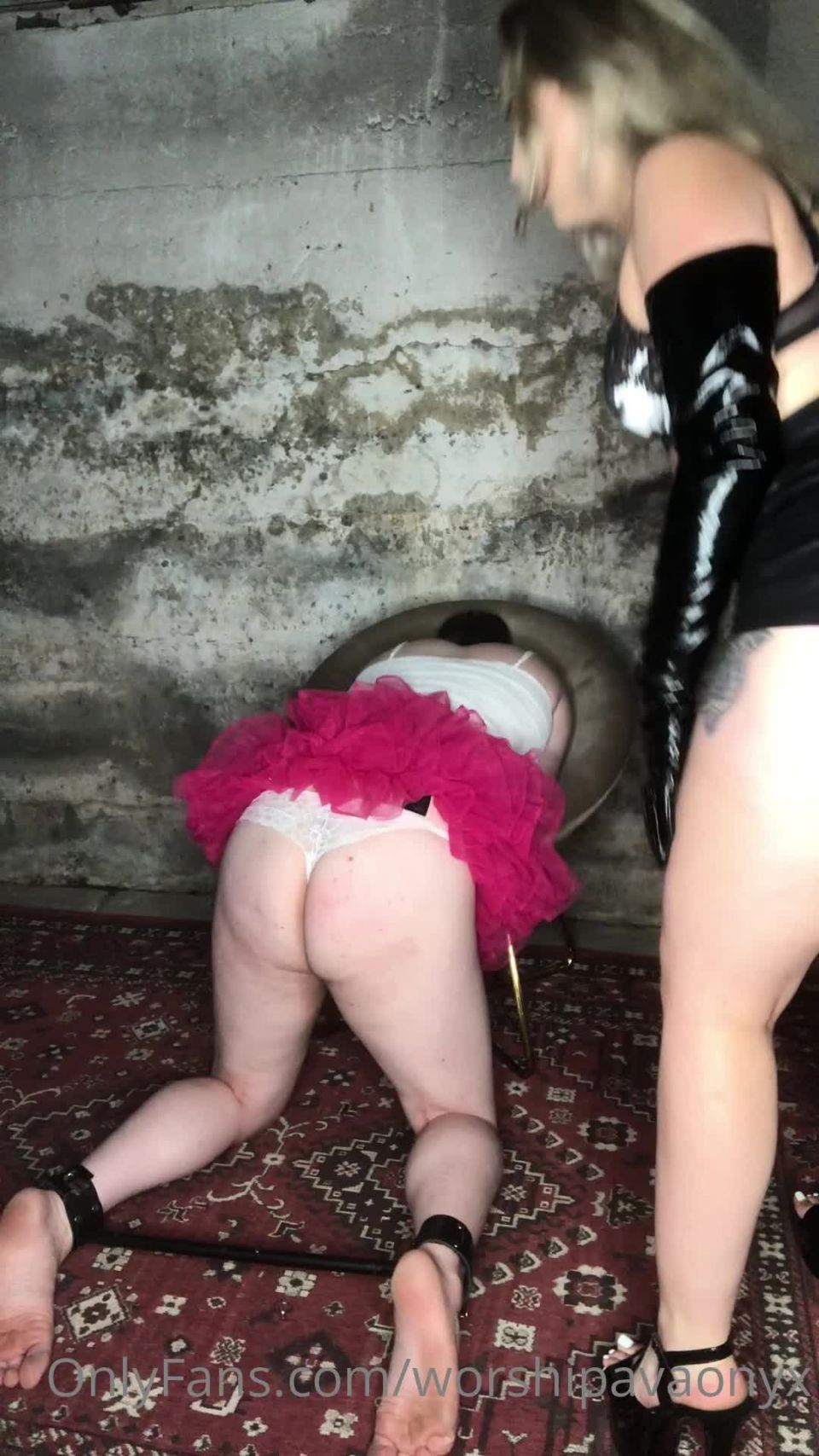 Iworshipavaonyx in Should I leavepeggypushover shackled here in My ...