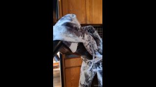 mdollbot 2025-10-01 Ok but back to me just wanting to chill out with ya in hon   5vyfpp