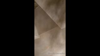 PSICHOTHERILLERSFILMS - Ashley Lanedeproudlywrightedpet-08-08-2021 (2)