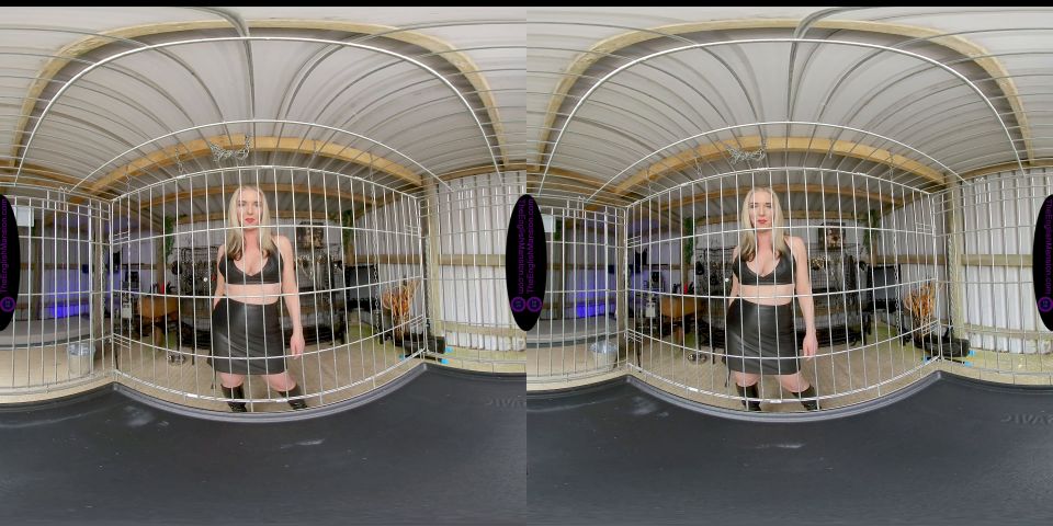xxx video 8 The English Mansion – Mistress Sidonia – Auction Day – VR | masturbation instructions | fetish porn femdom permanent chastity