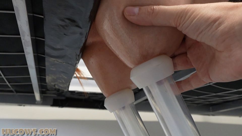 Hu Cows 25 10 04 Melodie The Wrong Building – Full HD - Hucows