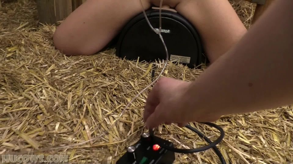 Diamondly’s nipple enlargement training, bdsm handjob porn on bdsm porn 