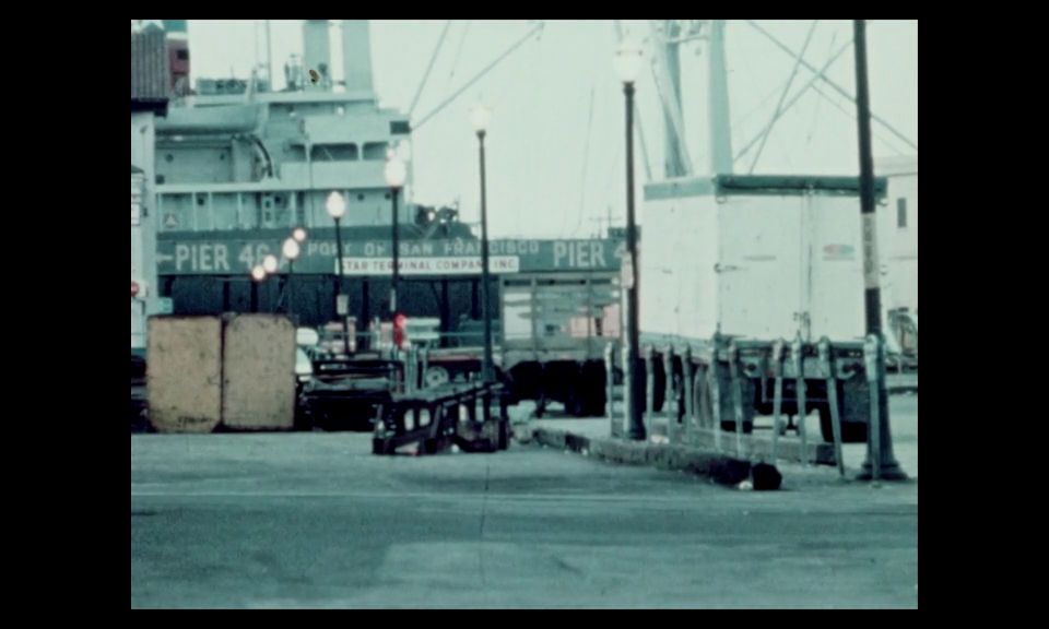 Explora la vida de los secretos de encanto nocturno revelados