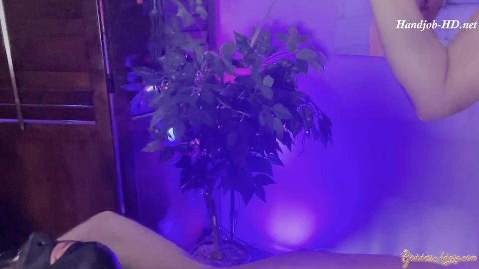 clip para adultos 24 Obediente Pequeño Alimentador de la Parte inferior 2 – Adara Jordin – ManoTrabajo  pie  pies porno pie fetiche y sexo