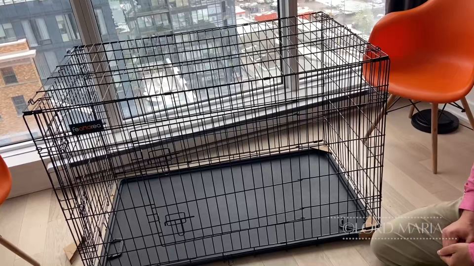 LGM H265_ Introducción del esclavo a su jaula