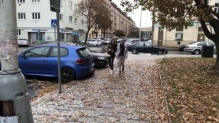 Vídeo flash. tiempo con Shrima malati - - -)