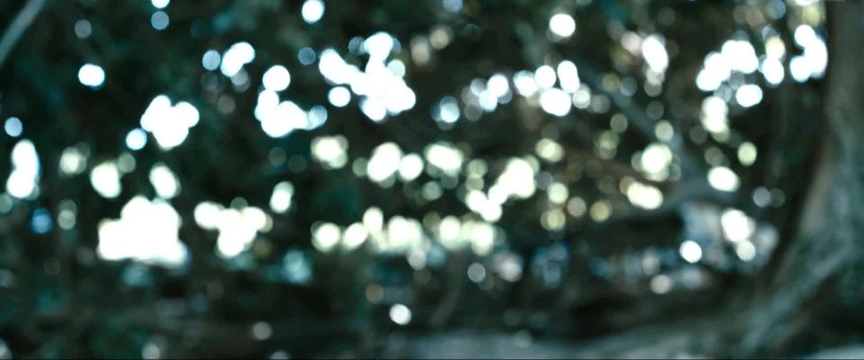 Inma Cuesta – La Novia (2015) HD 1080p!!!