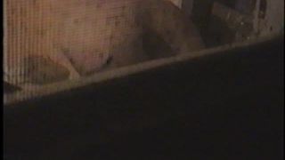 xxx vídeo 18 flyscreen voyeur video - cámara oculta - webcam